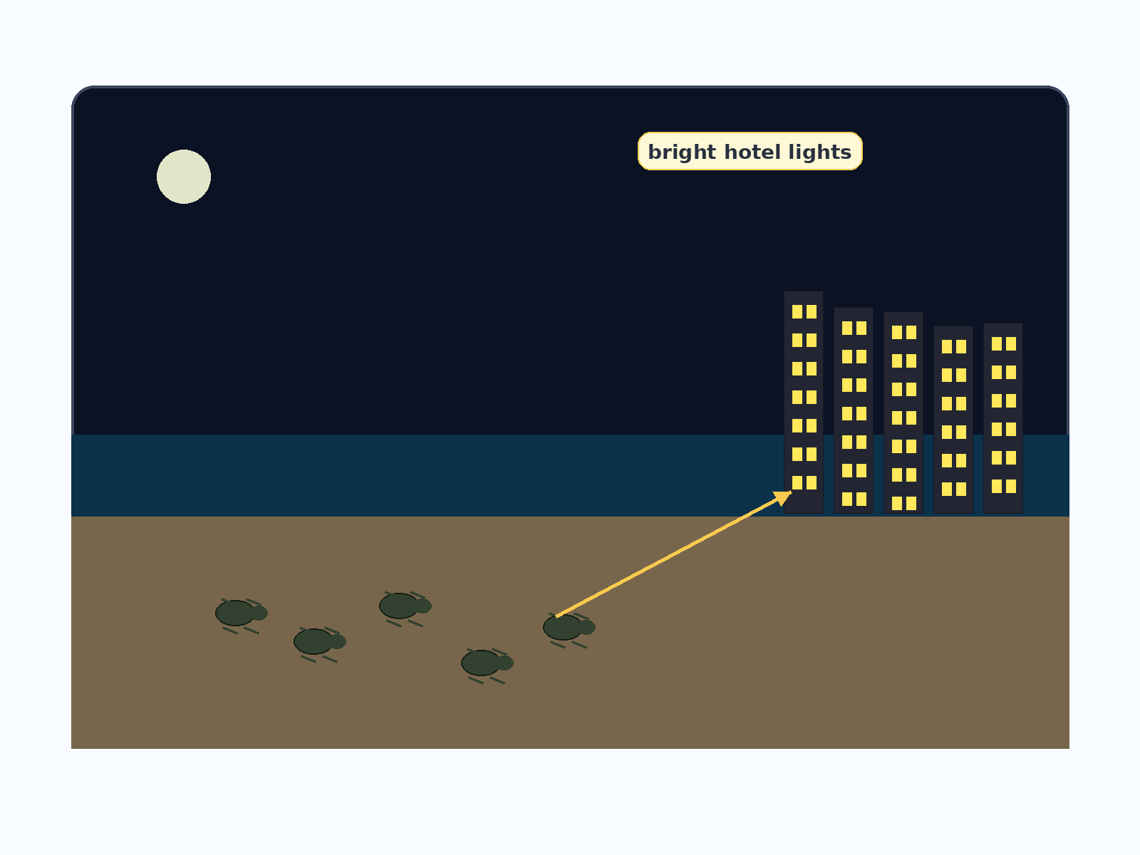 Question illustration