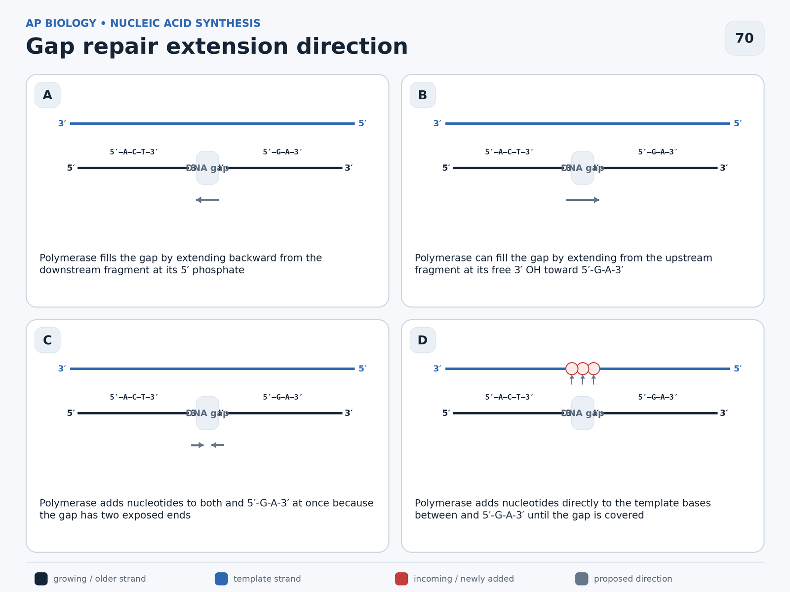 Question illustration
