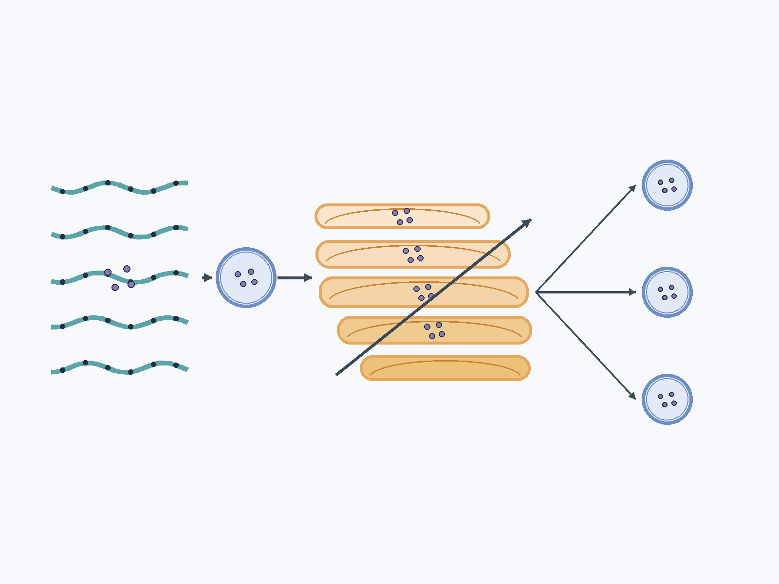 Question illustration