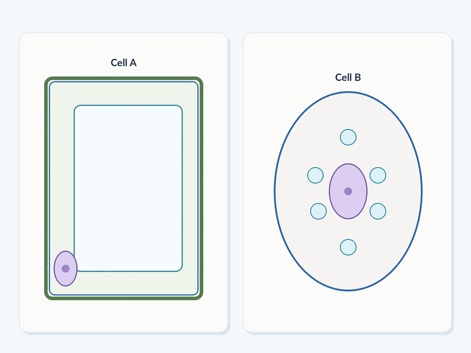 Question illustration