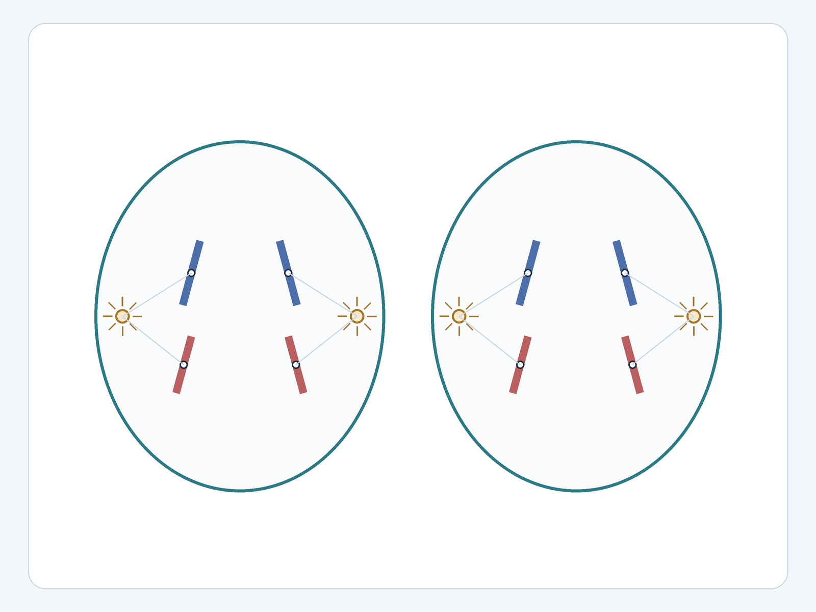 Question illustration