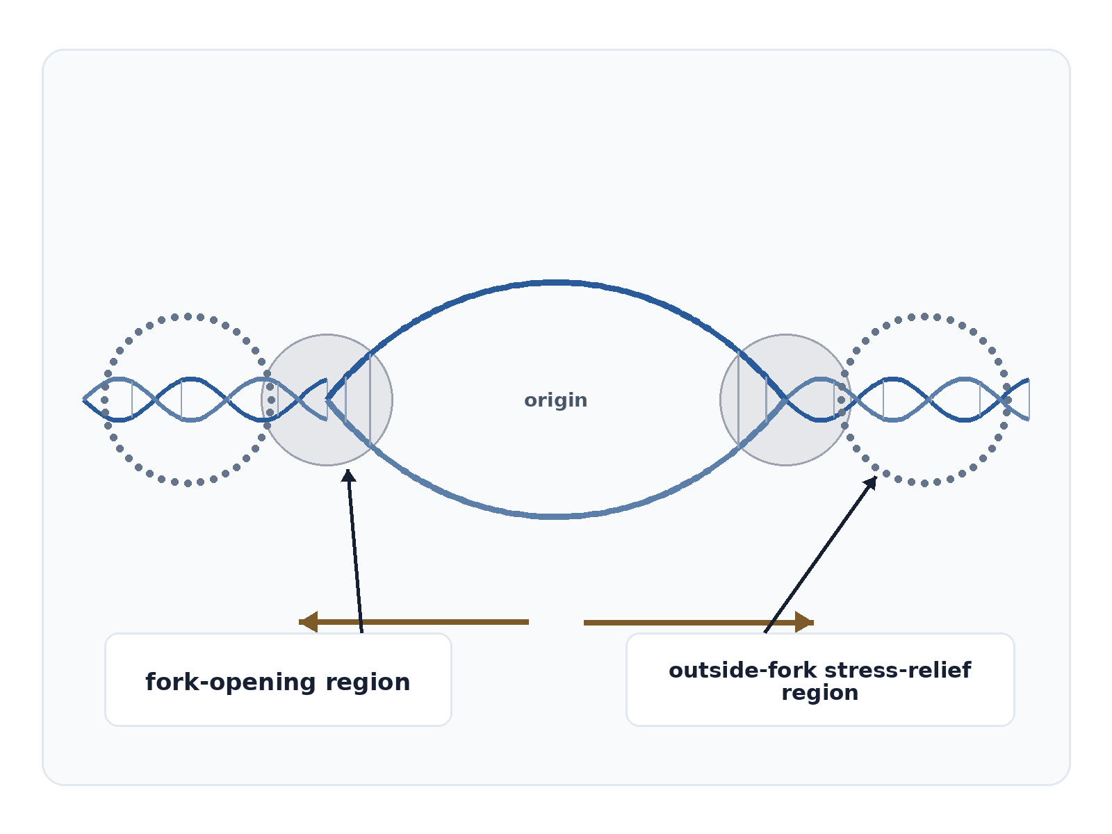 Question illustration