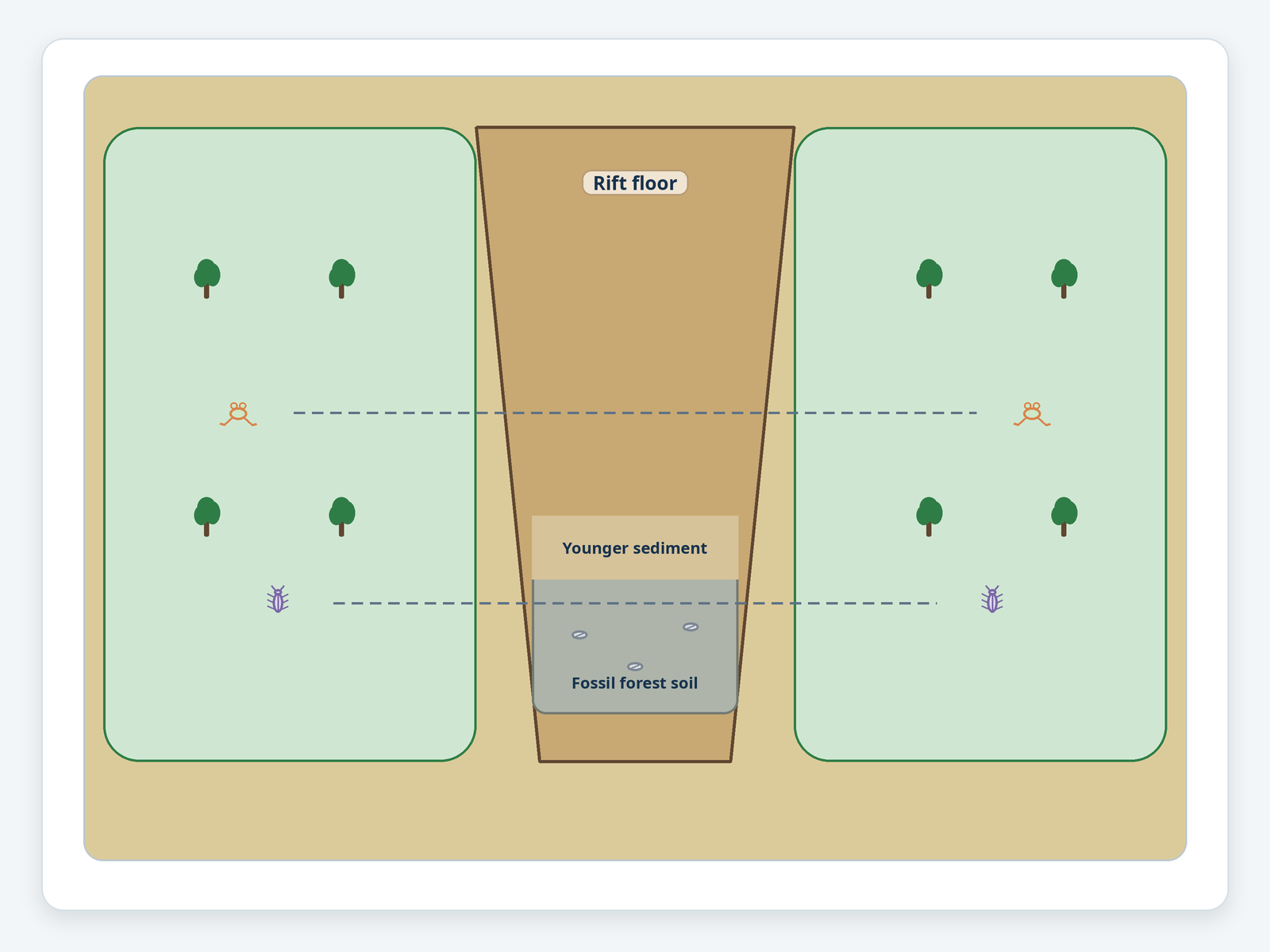 Question illustration